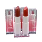 Labial Líquido Matte | Beauty Model