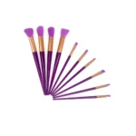 Set de Brochas 10 Pzas
