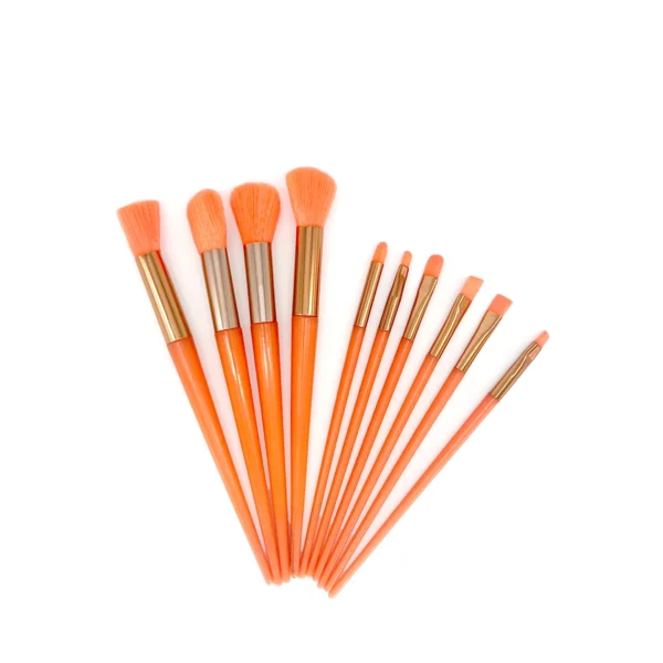 Set de Brochas 10 Pzas