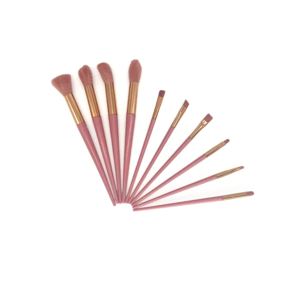 Set de Brochas 10 Pzas