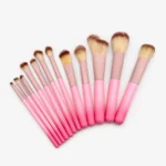 Set de Brochas Para Maquillaje Degradé con Estuche 12 Pzas.