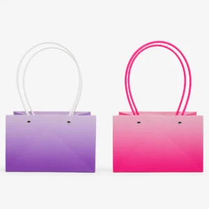 Bolsa con Degradado 22 X 13.5 X10 cm