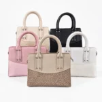 Cartera Mediana Combinada con Charm